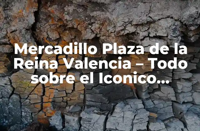 Mercadillo Plaza de la Reina Valencia – Todo sobre el Iconico Mercado de Valencia