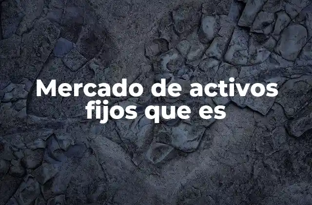 Mercado de Activos Fijos que es