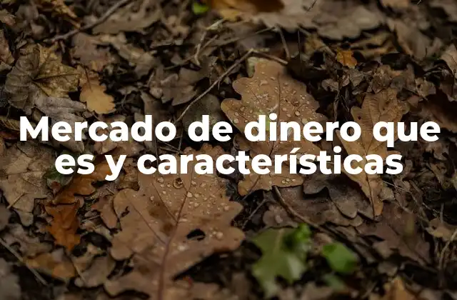 Mercado de Dinero que es y Características