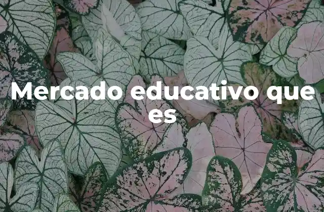 Mercado Educativo que es