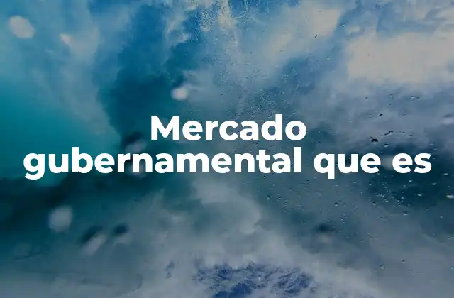 Mercado Gubernamental que es