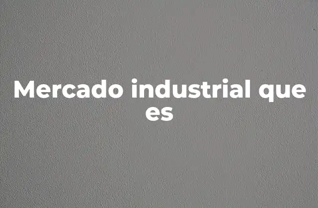 Mercado Industrial que es