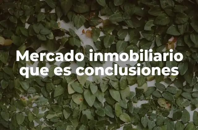 Mercado Inmobiliario que es Conclusiones