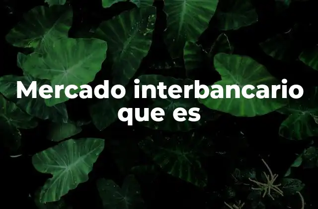 Mercado Interbancario que es