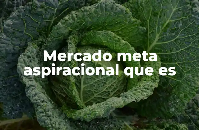 Mercado Meta Aspiracional que es