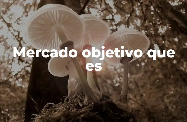 Mercado Objetivo que es