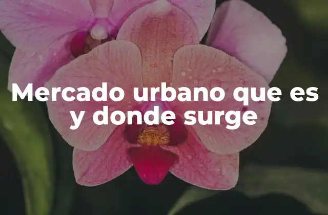 Mercado Urbano que es y Donde Surge