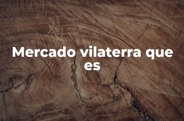 Mercado Vilaterra que es