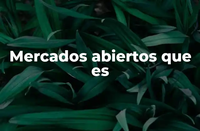 Mercados Abiertos que es