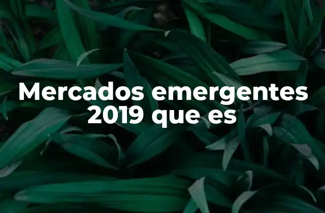 Mercados Emergentes 2019 que es