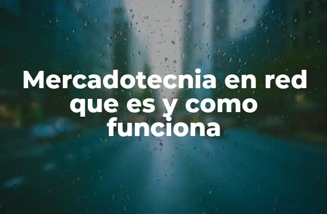 Mercadotecnia en Red que es y como Funciona