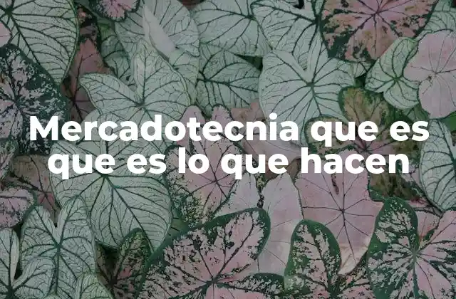 Mercadotecnia que es que es Lo que Hacen 2 Cómo la mercadotecnia impulsa el crecimiento empresarial