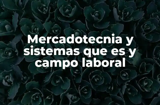 Mercadotecnia y Sistemas que es y Campo Laboral