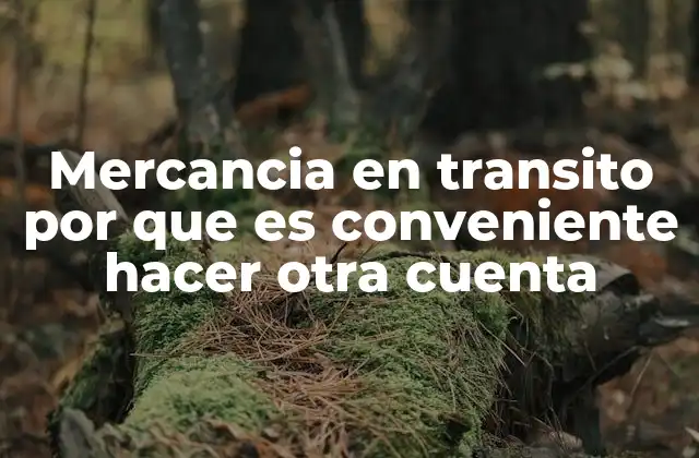 Mercancia en Transito por que es Conveniente Hacer Otra Cuenta