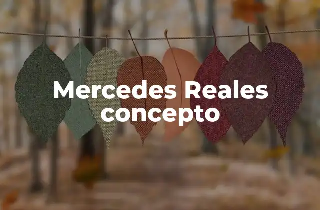 Mercedes Reales Concepto