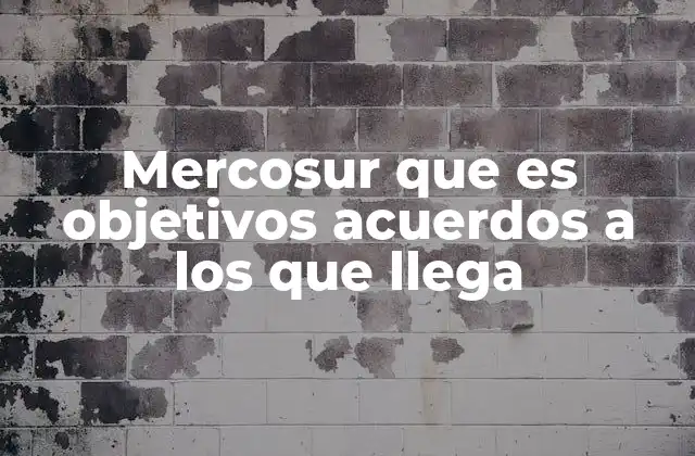 Mercosur que es Objetivos Acuerdos a los que Llega