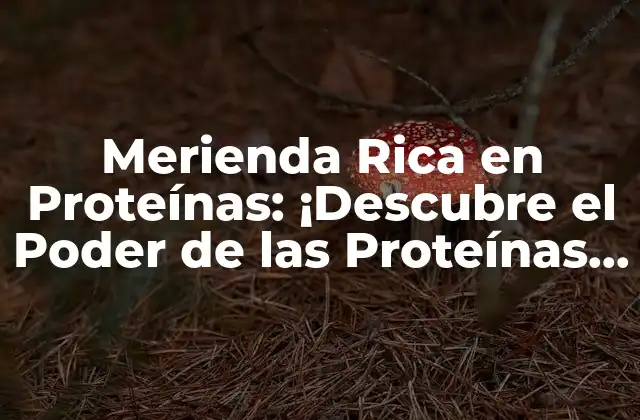 Merienda Rica en Proteínas: ¡descubre el Poder de las Proteínas en Tu Dieta!