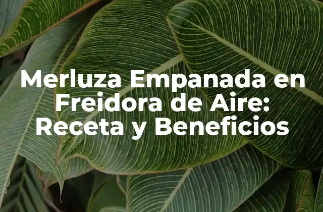 ¿Qué es una Freidora de Aire y Cómo Funciona?