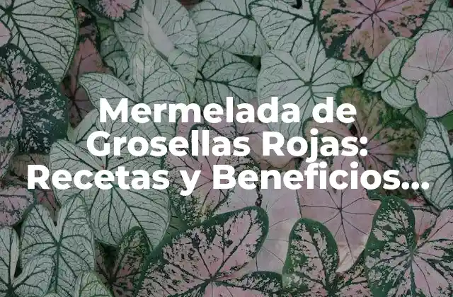 Mermelada de Grosellas Rojas: Recetas y Beneficios de Esta Delicia