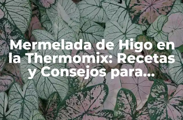 Mermelada de Higo en la Thermomix: Recetas y Consejos para Prepararla Perfectamente
