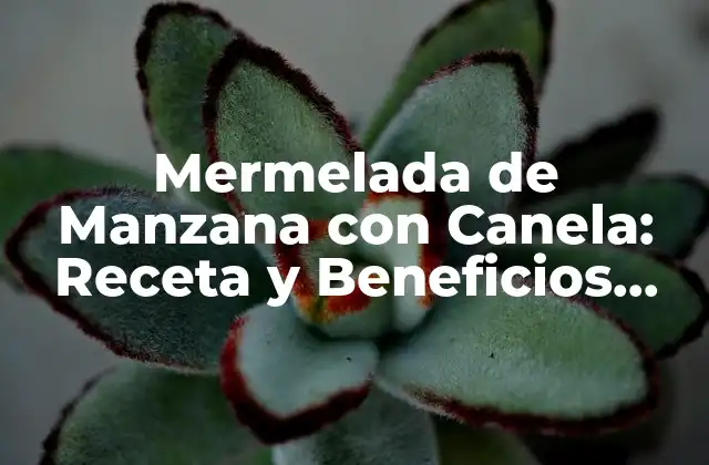 Mermelada de Manzana con Canela: Receta y Beneficios para una Vida Saludable
