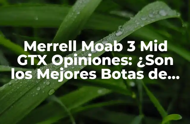 Características Clave de las Merrell Moab 3 Mid GTX