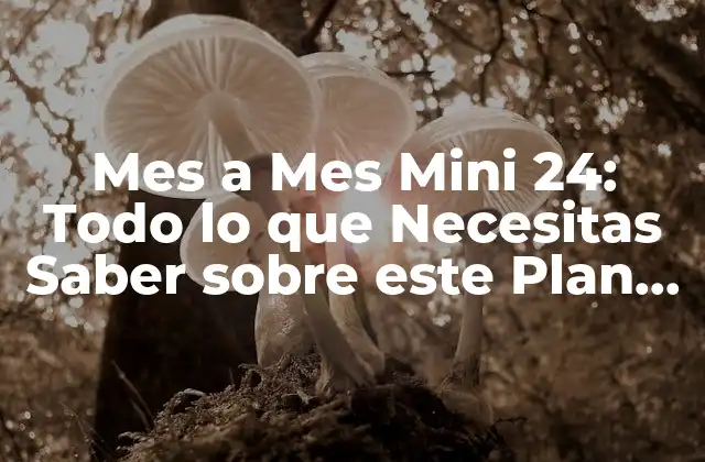 Mes a Mes Mini 24: Todo Lo que Necesitas Saber sobre Este Plan de Ahorro 2 ¿Qué es Mes a Mes Mini 24?