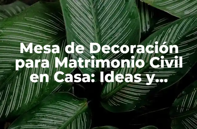 Mesa de Decoración para Matrimonio Civil en Casa: Ideas y Consejos Prácticos