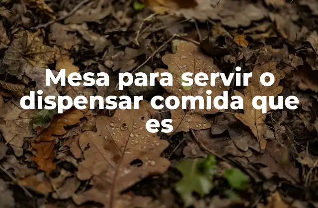 Mesa para Servir o Dispensar Comida que es