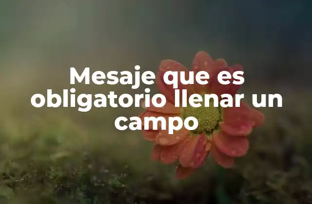 Mesaje que es Obligatorio Llenar un Campo