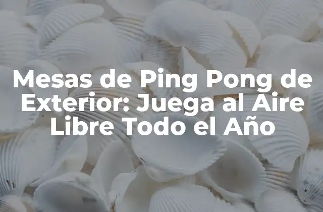 Mesas de Ping Pong de Exterior: Juega Al Aire Libre Todo el Año