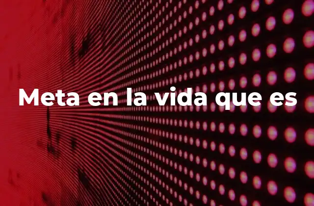 Meta en la Vida que es