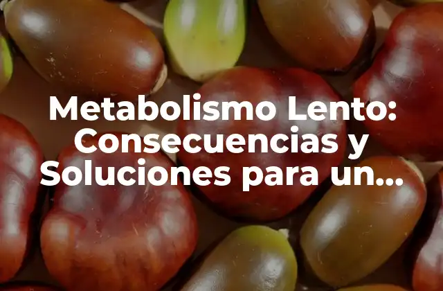 Metabolismo Lento: Consecuencias y Soluciones para un Cuerpo Saludable