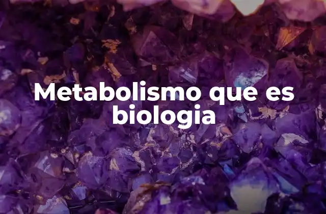 Metabolismo que es Biologia 2 Cómo funciona el metabolismo en los seres vivos