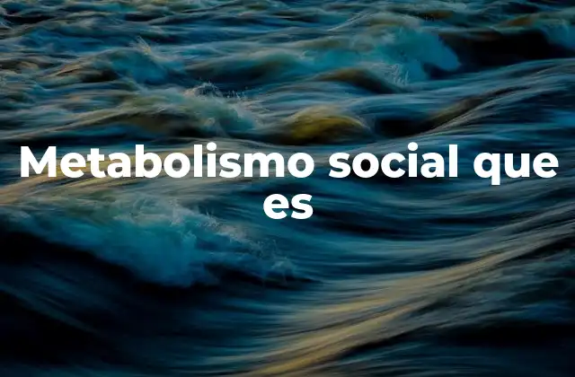 Metabolismo Social que es