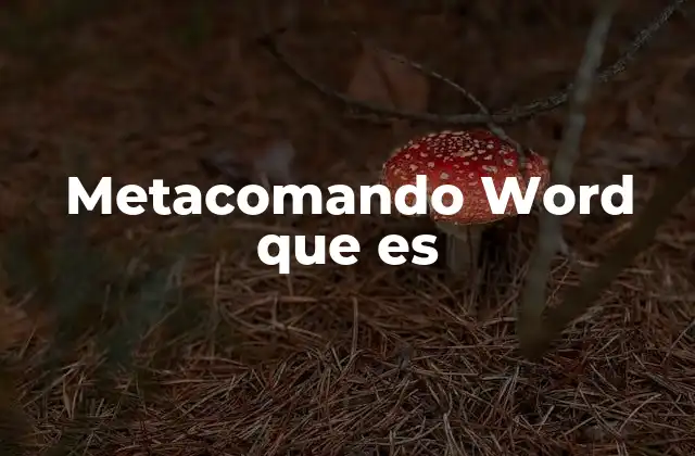 Metacomando Word que es