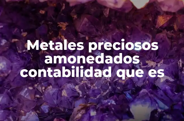 El rol de los metales preciosos en la contabilidad financiera