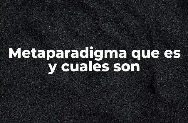 Metaparadigma que es y Cuales Son
