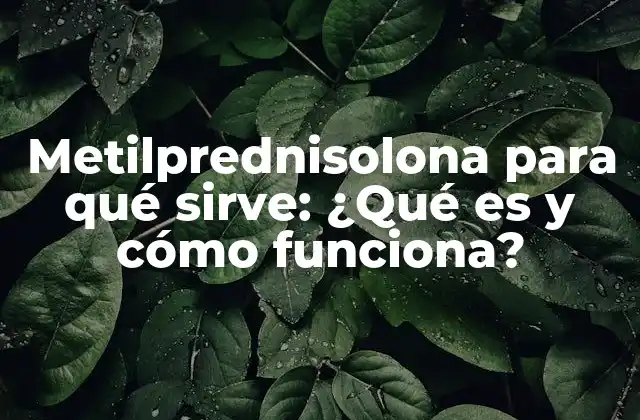 Metilprednisolona para Qué Sirve: ¿qué es y Cómo Funciona? 2 ¿Qué es la metilprednisolona?