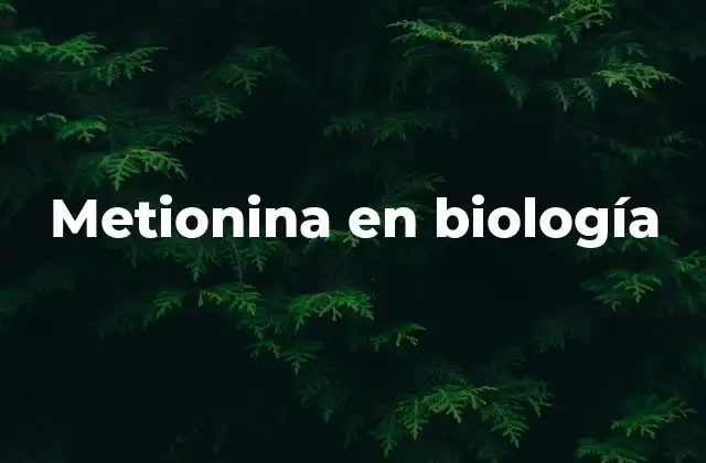 La relevancia biológica de los aminoácidos esenciales