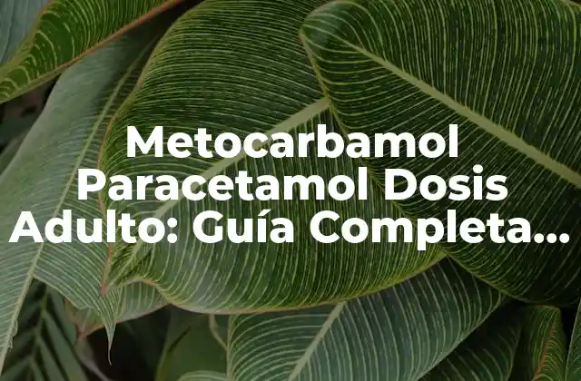 Metocarbamol Paracetamol Dosis Adulto: Guía Completa y Segura