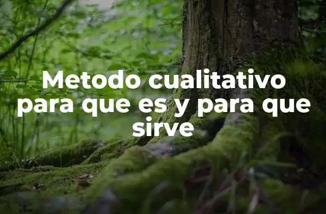 Metodo Cualitativo para que es y para que Sirve