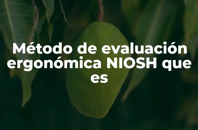 Método de Evaluación Ergonómica Niosh que es