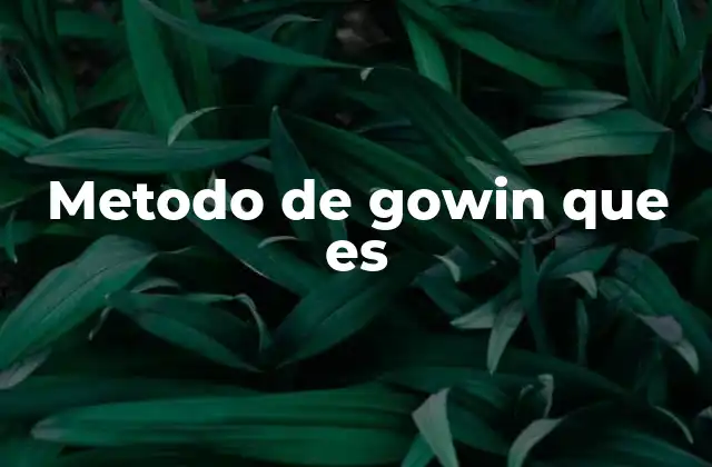 Metodo de Gowin que es