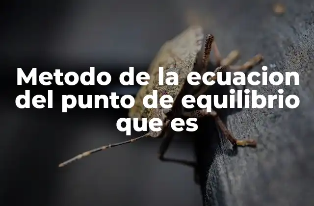 Metodo de la Ecuacion Del Punto de Equilibrio que es