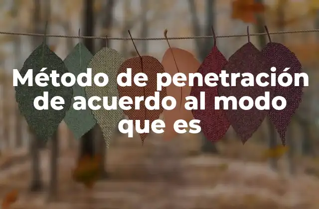 Método de Penetración de Acuerdo Al Modo que es 2 Tipos de métodos de penetración según el entorno de aplicación