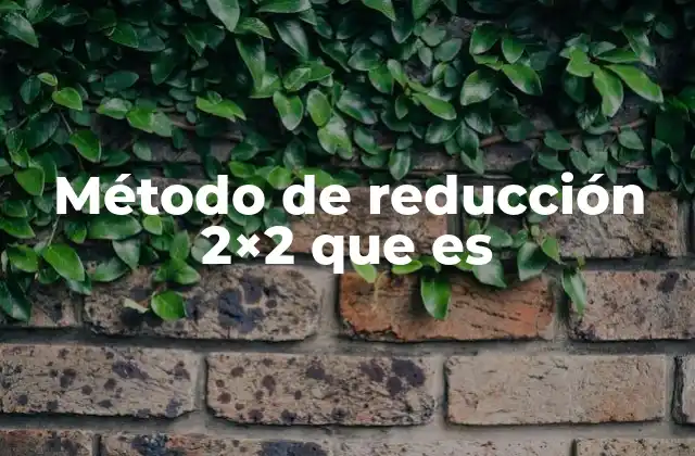 Método de Reducción 2×2 que es