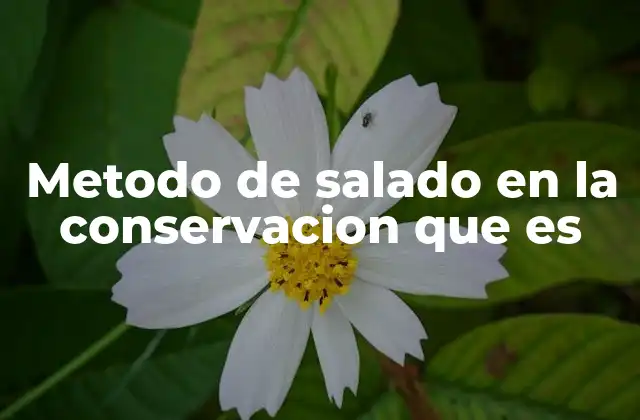 Metodo de Salado en la Conservacion que es