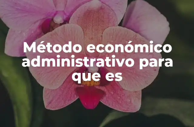 Método Económico Administrativo para que es