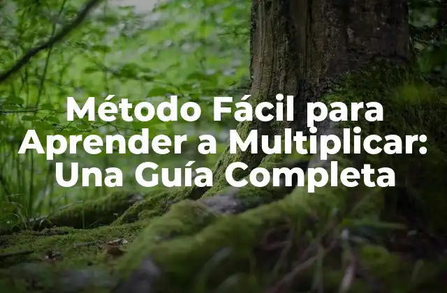 Método Fácil para Aprender a Multiplicar: una Guía Completa